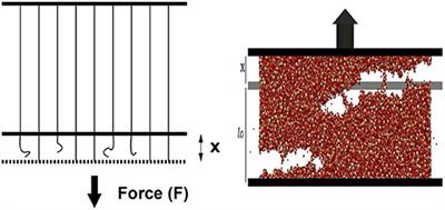 Criterion for Imminent Failure During Loading—Discrete Element Method Analysis